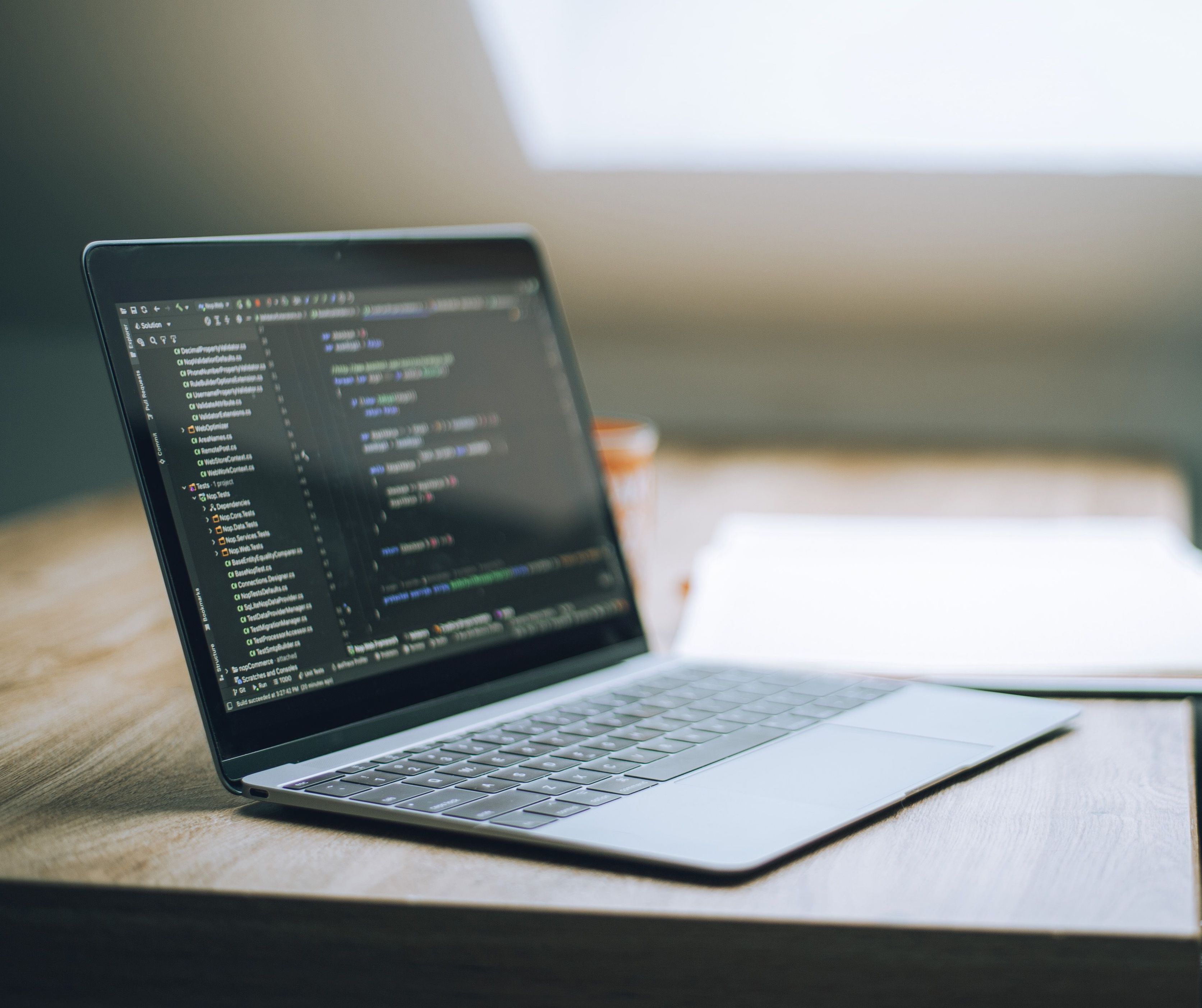 Programar una Landing Page